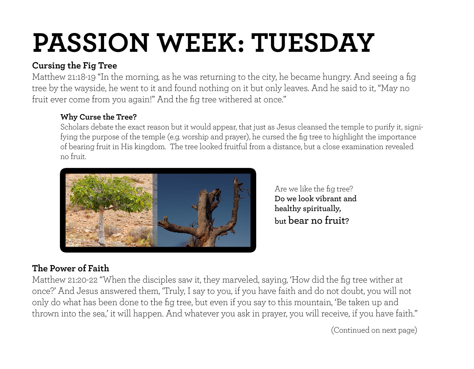 PASSION WEEK: TUESDAY Matthew 21:18-19